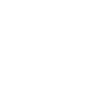 Datasii Symbol